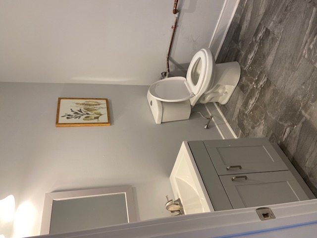 Guest Bath Vanity Sanitizing & Gray Marble Tile Scrubbing